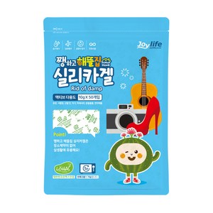 쨍하고해뜰집 실리카겔 제습제 본품 50p, 500g, 1개