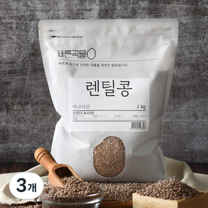 바른곡물 렌틸콩, 2kg, 3개