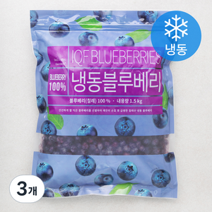 딜라잇가든 칠레산 블루베리 (냉동), 1.5kg, 3개