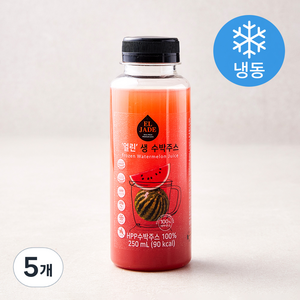 엘제이드 얼린 생 수박주스 (냉동), 250ml, 5개