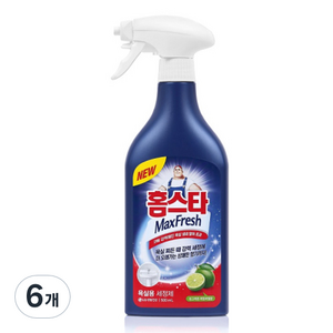 홈스타 맥스프레쉬 욕실청소용 세정제, 500ml, 6개