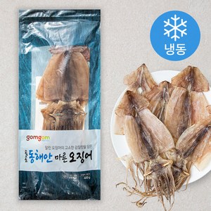 곰곰 동해안 마른 오징어 (냉동), 400g, 1개