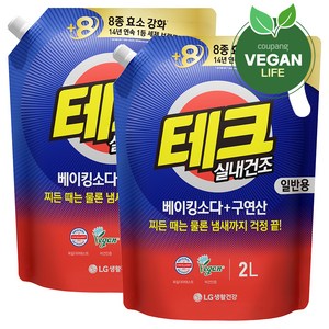 테크 베이킹소다 플러스 구연산 실내건조 액체 세탁세제 일반 리필, 2L, 2개