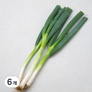 국내산 무농약 대파, 300g, 6개