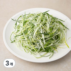 친환경 국내산 파채, 300g, 3개