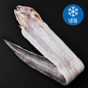 아라장 반건조 바다장어 (냉동), 300g(특대, 1마리), 1개