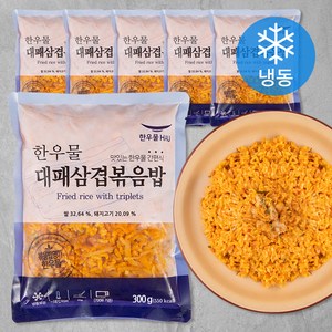 한우물 대패삼겹 볶음밥 (냉동), 300g, 6개