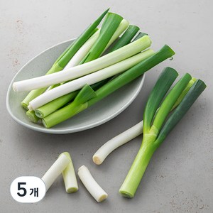 국내산 절단대파, 500g, 5개