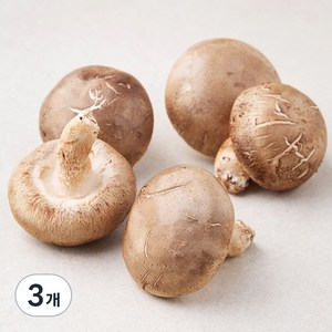 친환경 표고버섯, 150g, 3개