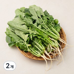 국내산 열무, 1.2kg, 2개