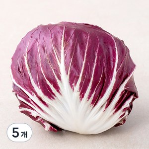 국내산 라디치오, 200g, 5개, 200g