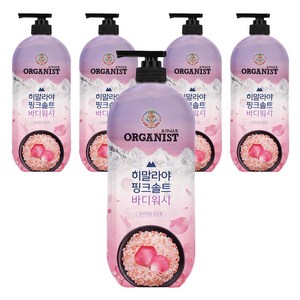 히말라야핑크솔트 풍성한 거품 산뜻한 바디워시 로즈향, 865ml, 5개