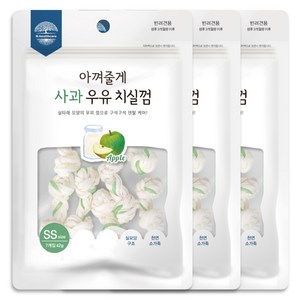 아껴줄게 치실 강아지 덴탈껌 7개입, 사과 우유, 42g, 3개