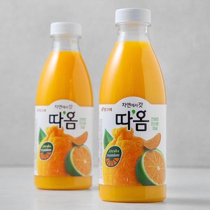 따옴 천혜향 한라봉 청귤 주스, 730ml, 2개