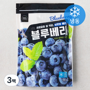 미국산 냉동 블루베리, 500g, 3개