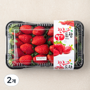 진주드림 금실 딸기 대과, 500g, 2개