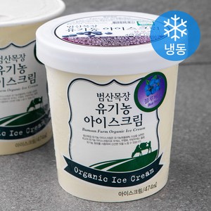 범산목장 유기가공식품인증 아이스크림 블루베리 (냉동), 1개