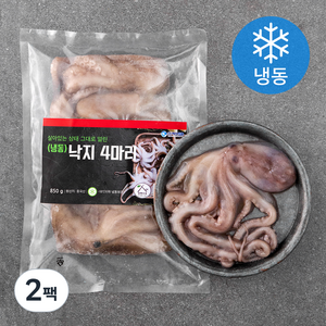 살맛나요 살아있는 상태 그대로 얼린 낙지 4미 (냉동), (4미)850g, 2팩