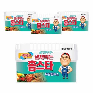 냄새먹는 홈스타 냉장고용 탈취제 유칼립투스 본품, 420g, 4개