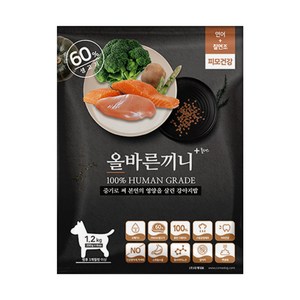 국개대표 전연령용 올바른끼니 연어 칠면조 기능성 사료, 피부/피모, 1.2kg, 1개