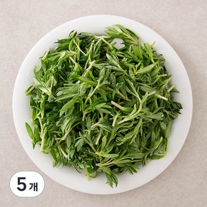 국내산 돌나물, 250g, 5개