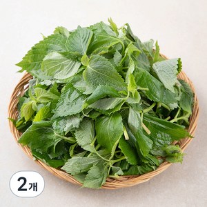 국내산 깻순, 170g, 2개