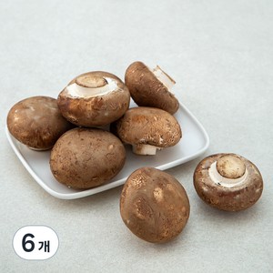 친환경 인증 국내산 양송이버섯, 150g, 6개