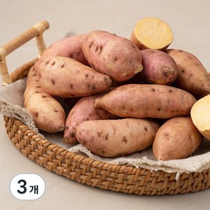 국내산 한입 호박고구마, 500g, 3개