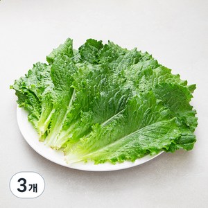 국내산 친환경 청상추, 150g, 3봉