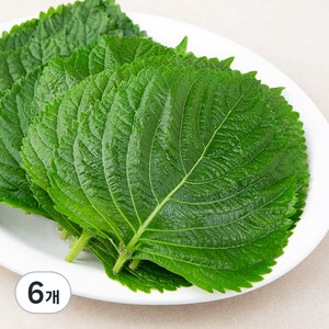 GAP인증 밀양 깻잎, 100g, 6봉