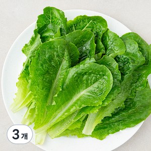 로메인 상추, 200g, 3개