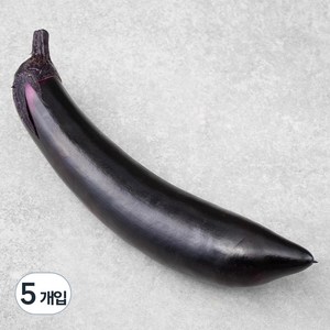 국내산 가지, 5개, 1개입