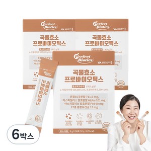 비타민마을 곡물효소 프로바이오틱스 유산균, 90g, 6개