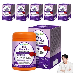 뉴트리디데이 아이구미 루테인 12 플러스, 60정, 6개