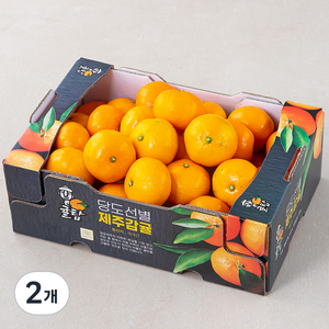 귤탐 당도선별 11bix 감귤, 2kg(로열과), 2개