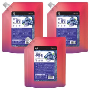 복음자리 블루베리 굿플잼, 3개, 1kg