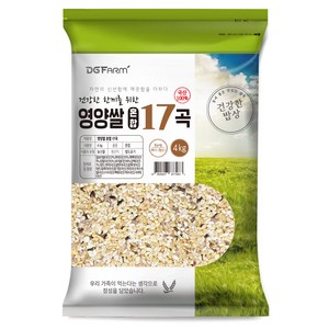 국산 혼합 17곡, 4kg, 1개