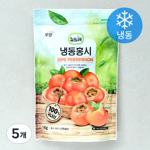 뉴뜨레 냉동홍시 (냉동), 1kg, 5개