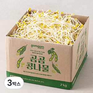 곰곰 콩나물, 2kg, 3박스