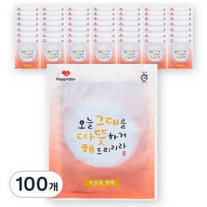 HAPPYDAY 포켓형 따뜻해 핫팩 100g, 100개