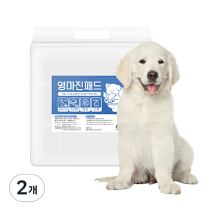 영마진 강아지 배변패드 플러스 35g 베이비파우더향, 120개입, 2개