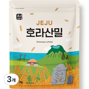 옳음애 제주 호라산 밀, 1kg, 3개