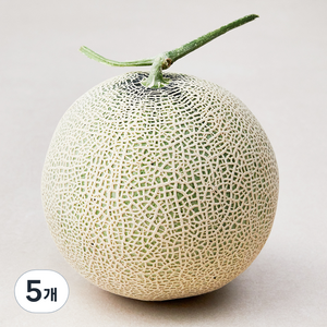 세지메론, 1.6kg, 5개