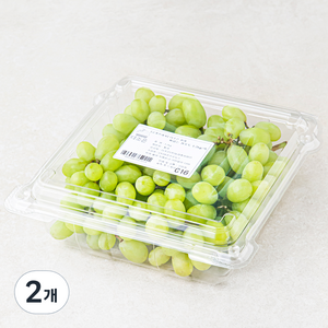 다조은 칠레산 씨없는 청포도, 1.2kg, 2개