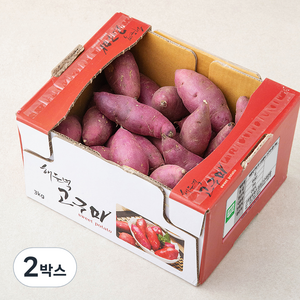 해들녘 무농약 고창황토 고구마, 3kg(중), 2박스