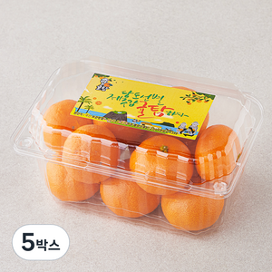 귤탐 당도선별 12bix 감귤, 800g(소과), 5박스