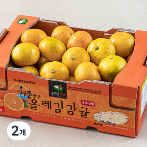 GAP 해풍맞은 올레길 Ai선별 당도선별 11bix 감귤, 2kg(로열과), 2개