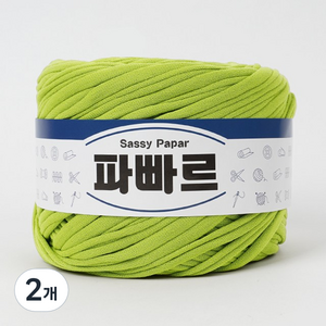 쎄비 파빠르 패브릭얀 뜨개실 500g, 18 그린티, 2개