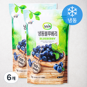 뉴뜨레 페루산 블루베리 (냉동), 1kg, 6개