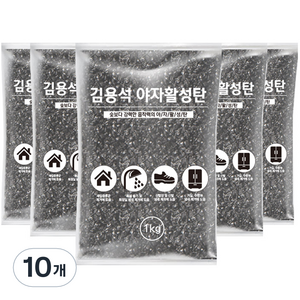 야자활성탄 실내 탈취제, 1kg, 10개